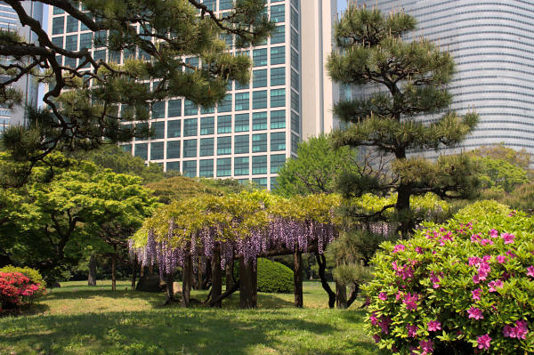 浜離宮恩賜庭園
