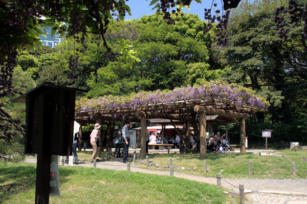 浜離宮恩賜庭園
