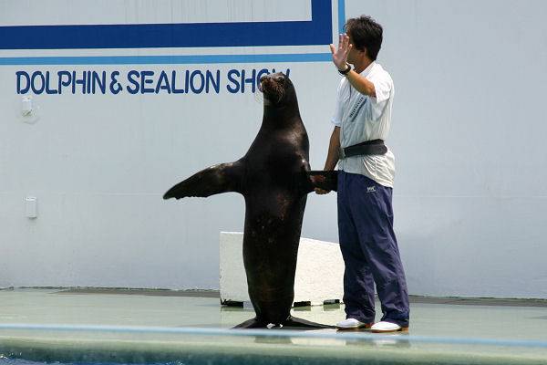 品川水族園
