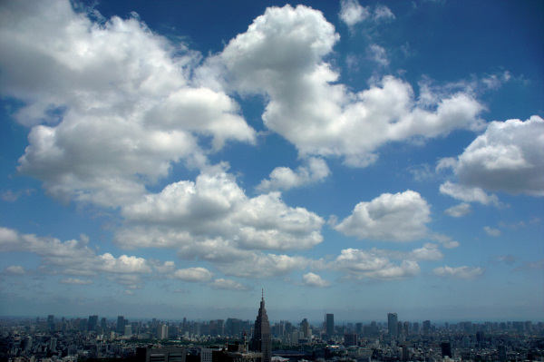 新宿 高層ビル群