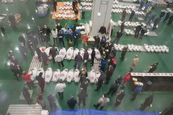 豊洲市場のマグロの競り市を見学する
