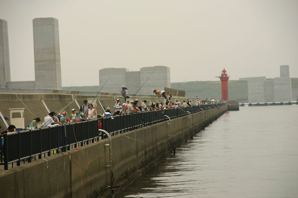 若洲公園と若洲海浜公園
