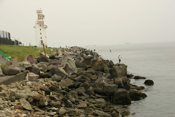 若洲公園と若洲海浜公園
