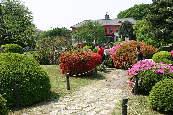 小石川植物園 みどりの日 無料解放