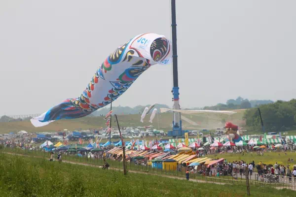 加須のジャンボこいのぼり遊泳