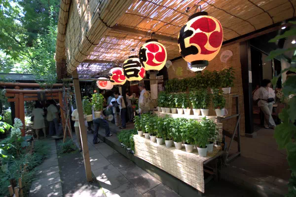 愛宕神社 千日詣り ほおずき市