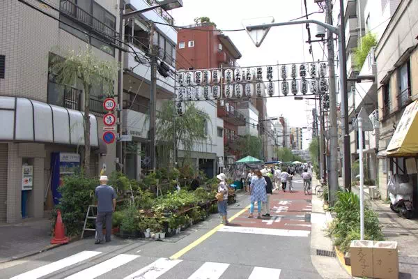 お富士さんの植木市