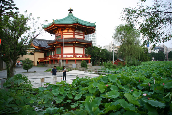 うえの夏まつり 蓮の花が見頃に