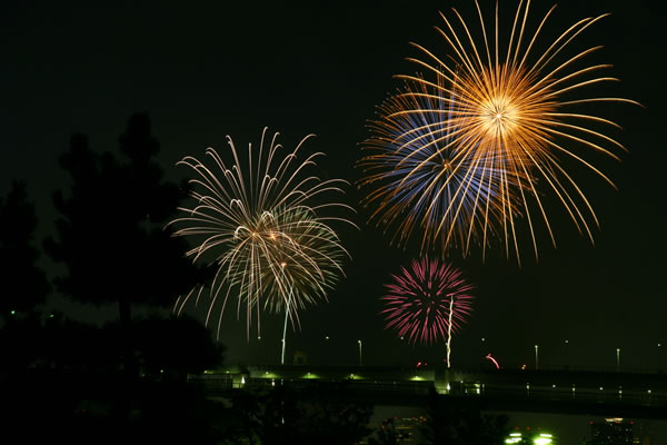 東京湾大華火祭