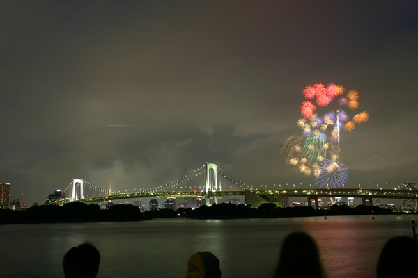 東京湾大華火祭 お台場海浜公園から