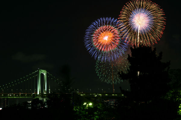 東京湾大華火祭 潮風公園