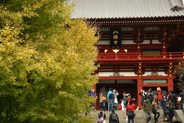 鎌倉で紅葉が見頃に