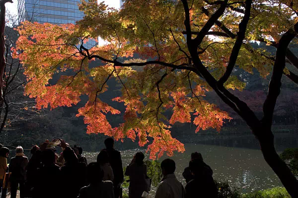 小石川後楽園 紅葉まつり